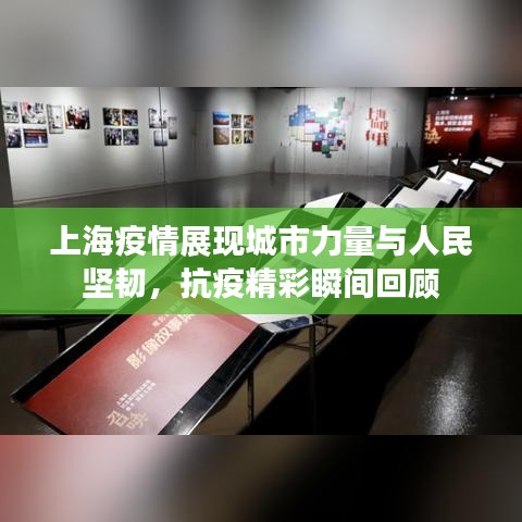 上海疫情展现城市力量与人民坚韧，抗疫精彩瞬间回顾