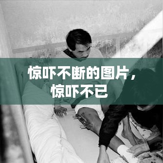 惊吓不断的图片，惊吓不已 