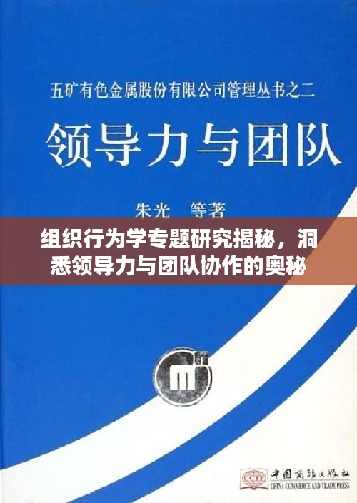 组织行为学专题研究揭秘，洞悉领导力与团队协作的奥秘