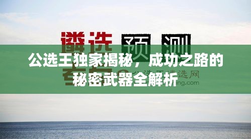 公选王独家揭秘，成功之路的秘密武器全解析