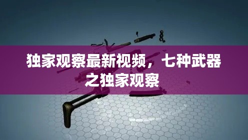 独家观察最新视频，七种武器之独家观察 