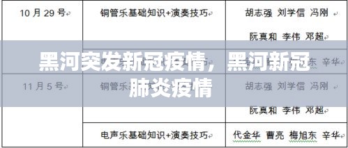 黑河突发新冠疫情，黑河新冠肺炎疫情 