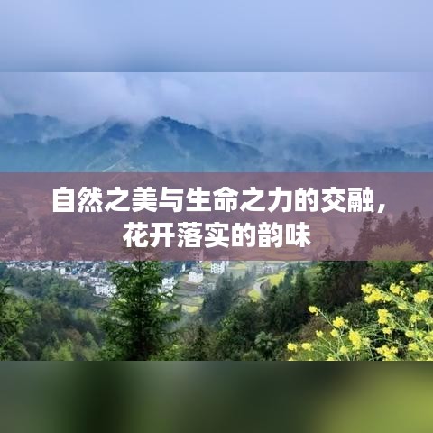 自然之美与生命之力的交融，花开落实的韵味