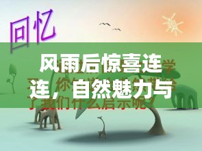 风雨后惊喜连连，自然魅力与人生启示探寻