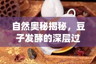 自然奥秘揭秘，豆子发酵的深层过程解析