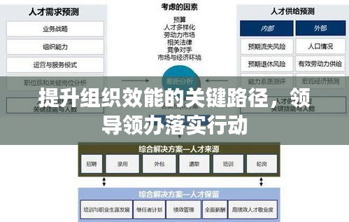 提升组织效能的关键路径，领导领办落实行动