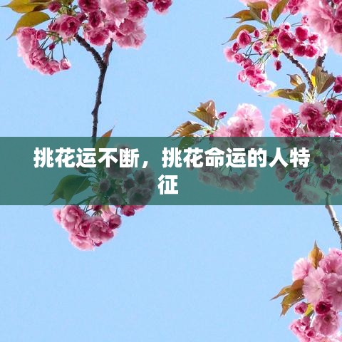 挑花运不断，挑花命运的人特征 