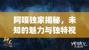 阿嘎独家揭秘，未知的魅力与独特视角探索