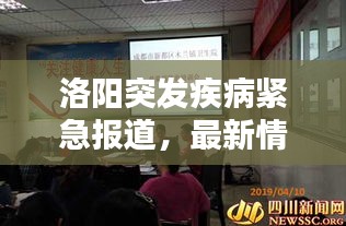 洛阳突发疾病紧急报道，最新情况及影响分析