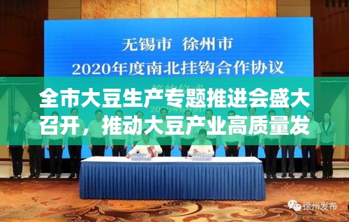 全市大豆生产专题推进会盛大召开，推动大豆产业高质量发展新篇章开启！