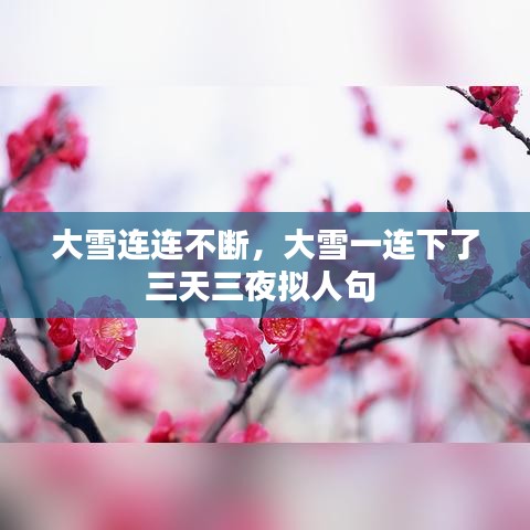 大雪连连不断，大雪一连下了三天三夜拟人句 