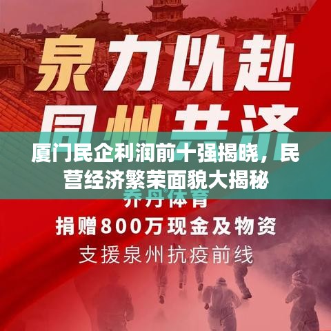 厦门民企利润前十强揭晓，民营经济繁荣面貌大揭秘