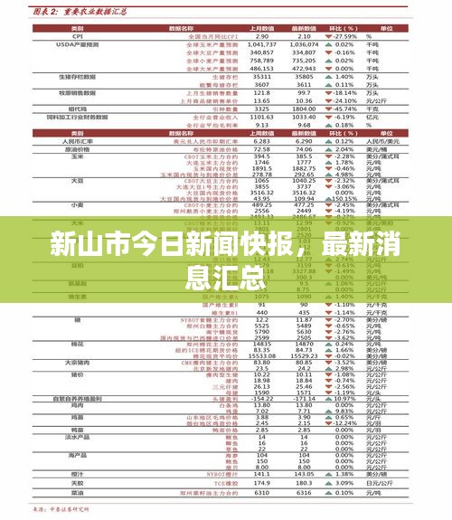 新山市今日新闻快报，最新消息汇总