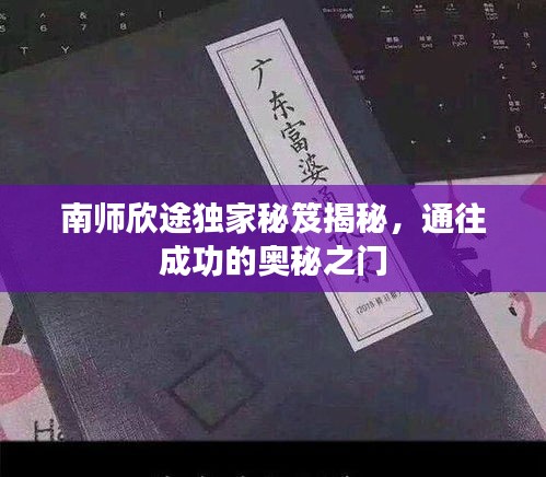 南师欣途独家秘笈揭秘，通往成功的奥秘之门