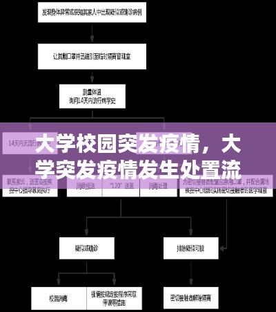 大学校园突发疫情，大学突发疫情发生处置流程 