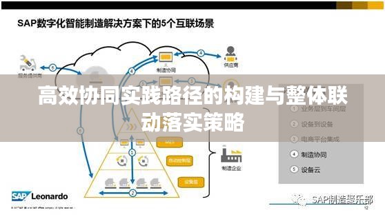 高效协同实践路径的构建与整体联动落实策略