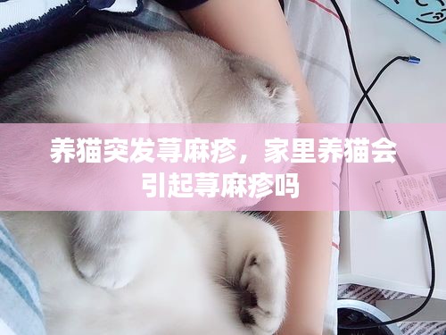 养猫突发荨麻疹，家里养猫会引起荨麻疹吗 