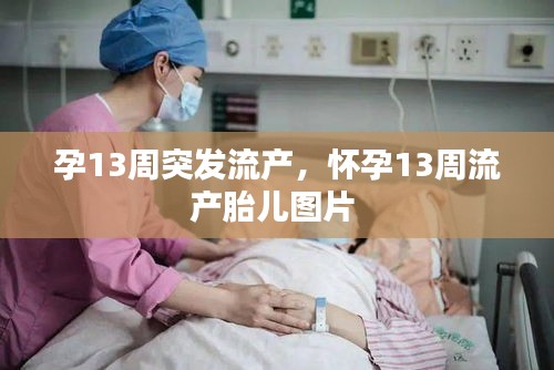 孕13周突发流产，怀孕13周流产胎儿图片 