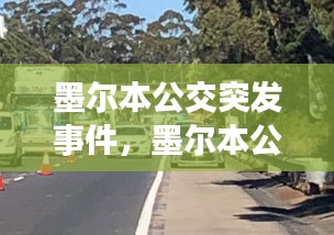 墨尔本公交突发事件，墨尔本公路失踪案 