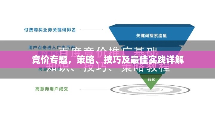 竞价专题，策略、技巧及最佳实践详解