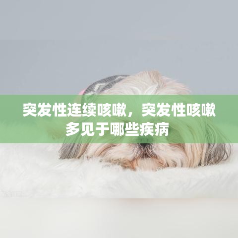 突发性连续咳嗽，突发性咳嗽多见于哪些疾病 