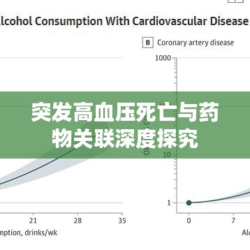 突发高血压死亡与药物关联深度探究