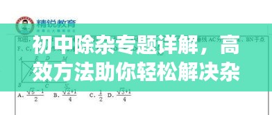 初中除杂专题详解，高效方法助你轻松解决杂质问题