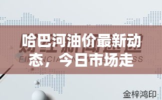 哈巴河油价最新动态，今日市场走势及影响因素深度解析