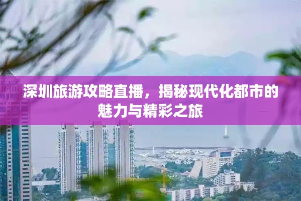 深圳旅游攻略直播，揭秘现代化都市的魅力与精彩之旅