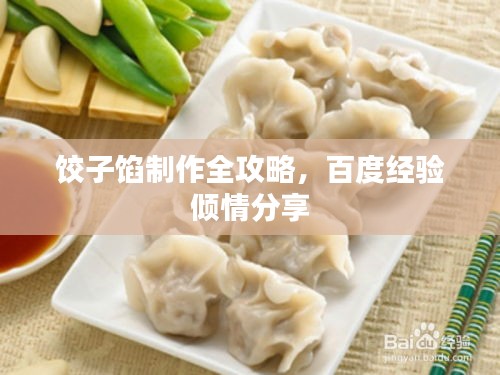 饺子馅制作全攻略，百度经验倾情分享