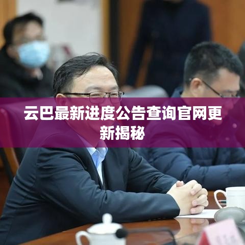 云巴最新进度公告查询官网更新揭秘