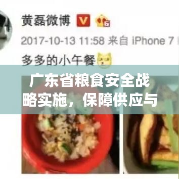 广东省粮食安全战略实施，保障供应与质量安全双管齐下