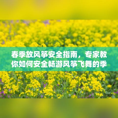 春季放风筝安全指南，专家教你如何安全畅游风筝飞舞的季节