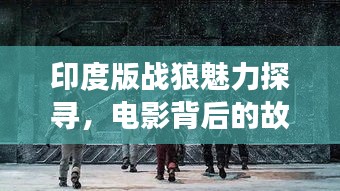 印度版战狼魅力探寻，电影背后的故事与情感深度解读