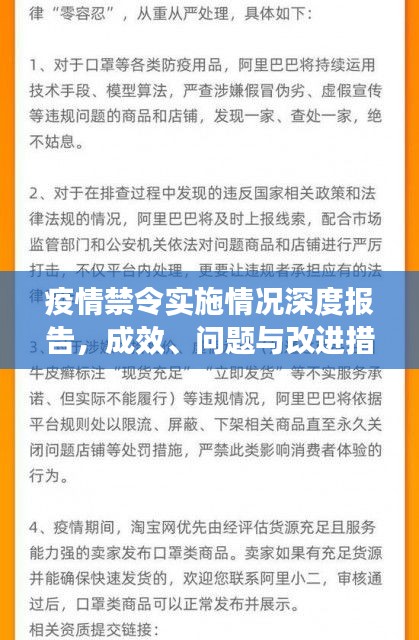 疫情禁令实施情况深度报告，成效、问题与改进措施