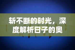 斩不断的时光，深度解析日子的奥秘