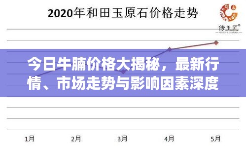 今日牛腩价格大揭秘，最新行情、市场走势与影响因素深度解析