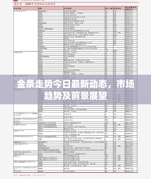 金条走势今日最新动态，市场趋势及前景展望