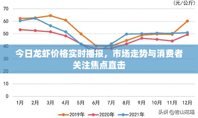 今日龙虾价格实时播报，市场走势与消费者关注焦点直击