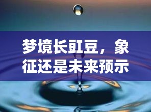 梦境长豇豆，象征还是未来预示？深度解读梦境奥秘！