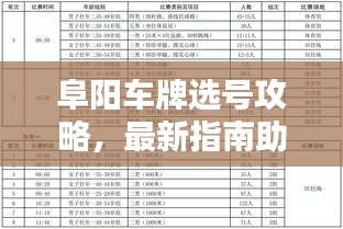 阜阳车牌选号攻略，最新指南助你轻松选号！