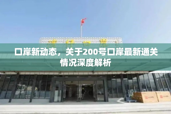 口岸新动态，关于200号口岸最新通关情况深度解析