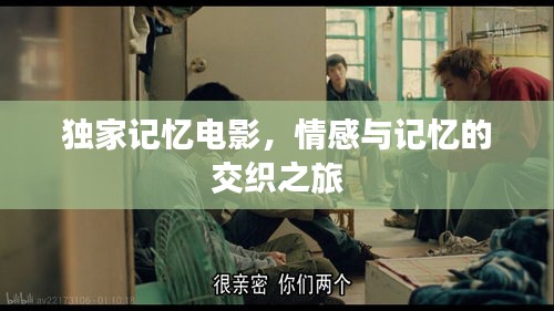 独家记忆电影，情感与记忆的交织之旅