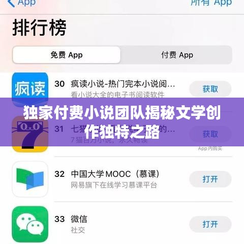 独家付费小说团队揭秘文学创作独特之路