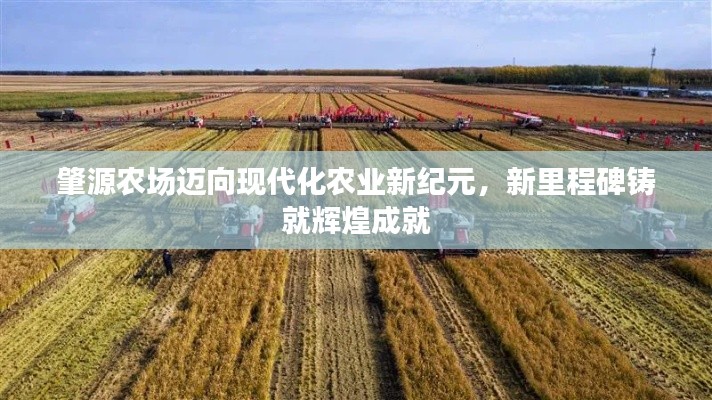 肇源农场迈向现代化农业新纪元，新里程碑铸就辉煌成就