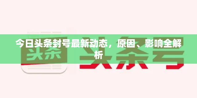 今日头条封号最新动态，原因、影响全解析