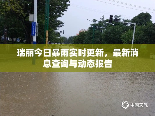 瑞丽今日暴雨实时更新，最新消息查询与动态报告