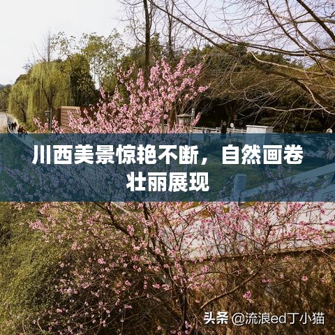 川西美景惊艳不断，自然画卷壮丽展现