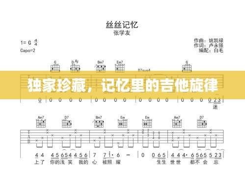 独家珍藏，记忆里的吉他旋律