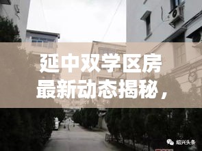 延中双学区房最新动态揭秘，不容错过的教育地产资讯！